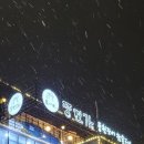 풍천가 서초 이미지