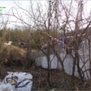 진주글로리아유치원 이미지