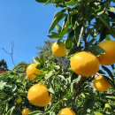 내양농장 이미지