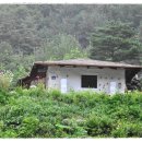 분천민박