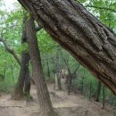 산의향기 네이버블로그