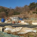 합성동270 이미지