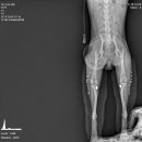 남부동물병원 이미지