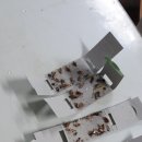 구평본동 이미지