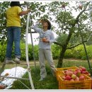 수광농장 이미지