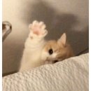 원주(부산) 이미지