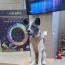 스위스 무인텔 이미지