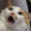 (주)델피아이 이미지