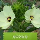 (주)우림건강