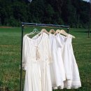 스테디커피 이미지