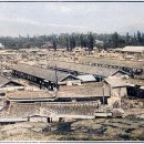 이동시장(이동공설시장) 이미지