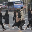 싱싱나라김밥