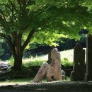유림미장원 | 전북 순창-회문산자연휴양림(2015.6.6-7)