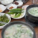 원돼지국밥집 | 창원 돼지국밥 맛집 상남동 원돼지국밥 솔직후기