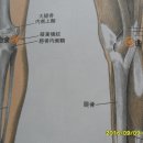 막곡천 Daum카페