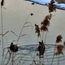 서종당구장 이미지