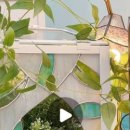 유리미내 이미지