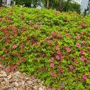 [행복한학교]명상과 힐링 이미지