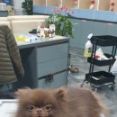 은아농장 이미지