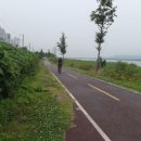 낙동강변13 이미지