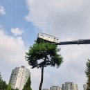스카이차 사용