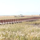 동백공원 생태 이미지