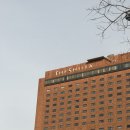 (주)부띠크 호텔 락희 | 내돈내산 서울신라호텔 패스트리 부티크 강민경케이크 녹차초콜릿 케이크 수령 후기