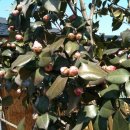 새싹마을마당 이미지