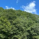 곰소그린 이미지