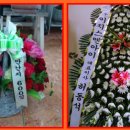 하동1길 이미지