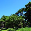 옥계해변관광지 이미지