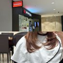 수원프라자 앞 | 수원역 미용실 AK플라자 이가자 헤어비스 레이어드 커트 앞머리 펌 후기