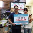 애니케어동물병원 이미지