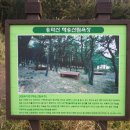 소나무병원 이미지