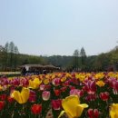 부천자연생태공원(식물원,박물관) 이미지