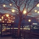 시청동로 이미지