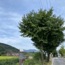 창의리 마을회관 이미지