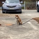 경포힐링스테이 이미지