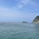 동박새우는집 이미지