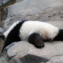 남양상회 이미지