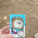 헌화 | 현충일 기념 국립현충원 헌화 봉사 후기🤍🌼🕊️
