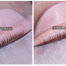 하울라스틱 이미지