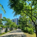 노아의작은도서관 이미지