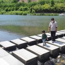 곡성산림마트 이미지