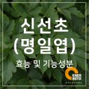 (주)카인즈바이오틱스 이미지