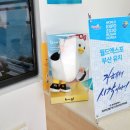 투어라운지 - 중구 공평로 4 | 투어라운지