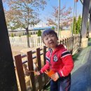 초롱목장 이미지