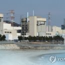 지연에너지태양광발전소 이미지