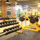 더스토리짐 이미지