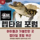 렙타일큐브 | 벡스코 코리아 렙타일 포럼 부산 방문기｜크랩 잡고 반딧불이도 보고